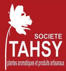 STE-TASHY-logo